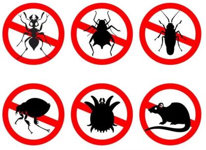 pests featuring forbidden signs, are illustrated against a clean white background, symbolizing the concepts of pest control and disinfestation in domestic spaces